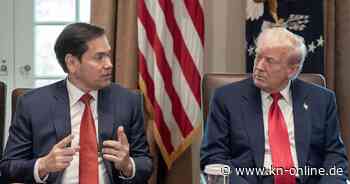 Versetzung von Mike Waltz: Wer von der Rochade im Weißen Haus profitiert