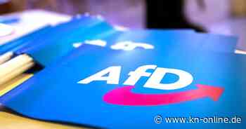 Landespolitiker in Schleswig-Holstein fordern ein AfD-Verbot