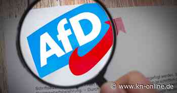 Gesichert rechtsextremistisch: Ist die AfD nun eine „Nazipartei“?