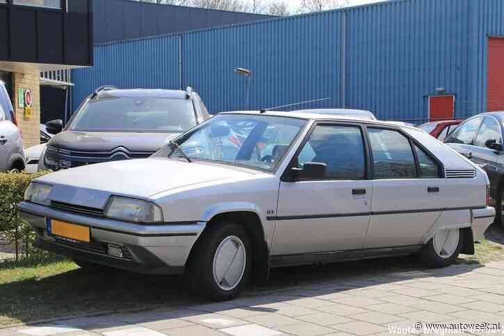 Deze Citroën BX is een recente aanwinst - In het Wild
