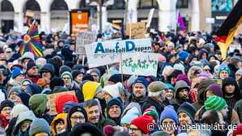 „Rechtsextrem“: Wie Hamburg jetzt über Verbot der AfD streitet