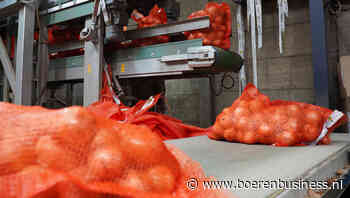 Uienkopers worden voorzichtig na prijsstijging