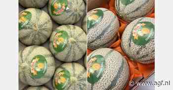 Telers in Dakhla aangespoord om hun markten te diversifiëren