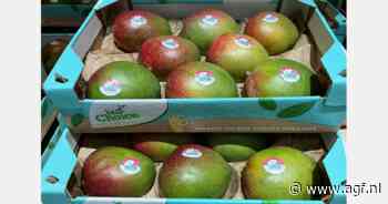 "Mangomarkt kan grotere volumes moeilijk verwerken in deze gebroken verkoopweken"