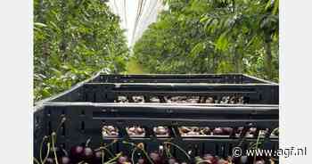 "Spoedig besluit vrijstelling Tracer noodzakelijk"