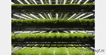 "De toekomst in de Golf is zelfvoorziening"