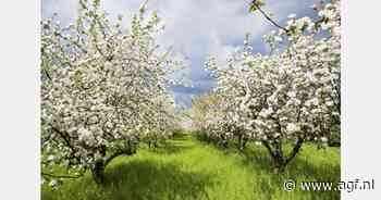 Opmars Duitse biologische landbouw stagneert