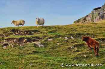 £1.8m scheme to boost nature-friendly farming in Wales' national parks