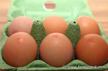 Nationwide prosecutions following egg fraud crack down