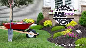 Poll: The best lawn care services in Arlington