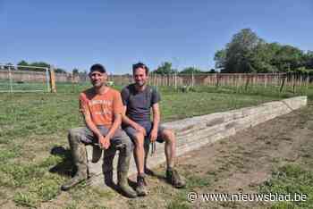 De Wei is helemaal omgetoverd en opent met groots startfeest: “We verwachten alle inwoners om het samen te ontdekken”