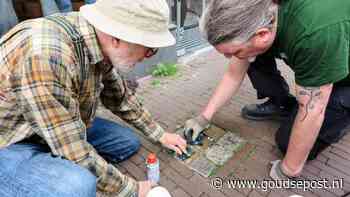 Gouwenaars poetsen vervuilde Stolpersteine op: ‘Dit blijf ik elk jaar doen’