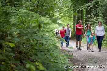 Huldenberg lanceert twee nieuwe wandelroutes van 30 en 40 kilometer: “Ons profileren als dé wandelgemeente van de Druivenstreek”
