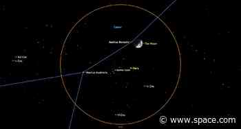 See the moon and Mars buzz a cosmic Beehive this weekend