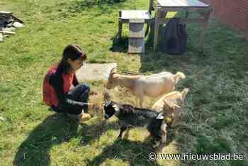 Ellis (17) vernoemt geitjes naar verpleegsters die haar hielpen in het ziekenhuis: “Ze beseffen het zelf misschien niet, maar ze zijn echt als familie”