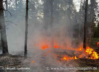Mehrere Waldbrände am Feiertag