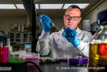 ‘Landmark study’ led by UNLV shows new path to treat, prevent autism