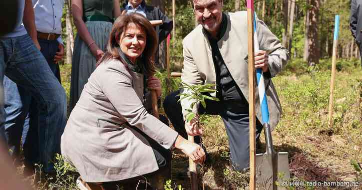 Söder zieht positive Zwischenbilanz bei Waldumbau