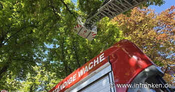 Rettung aus luftiger Höhe - Bamberger Feuerwehr rückt zu tierischem Einsatz aus