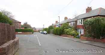 Police investigating Newcastle hit-and-run release details of 'two vehicles of interest'