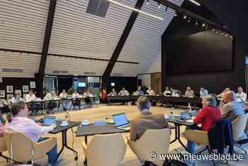 Een derde van Wingense adviesraden bestaat uit Ruiseledenaren