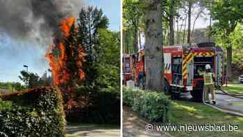 Hoge vlammen bij bermbrand in Kalmthout: vuur intussen geblust, straat vrijgegeven