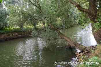 Rollstuhlfahrer stürzt in Kirchlengern in die Else