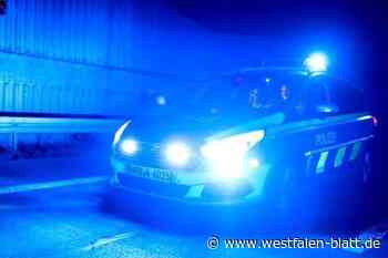 Verfolgung mit dem Streifenwagen