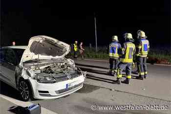 Auto erfasst entlaufenes Rind