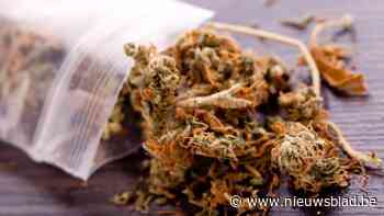 Drugsdealer gevat bij controle op gekende overlastplek in Maasmechelen