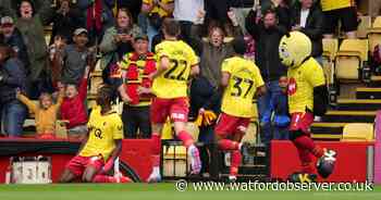 Over-achievers, under-achievers or distinctly mid-table?