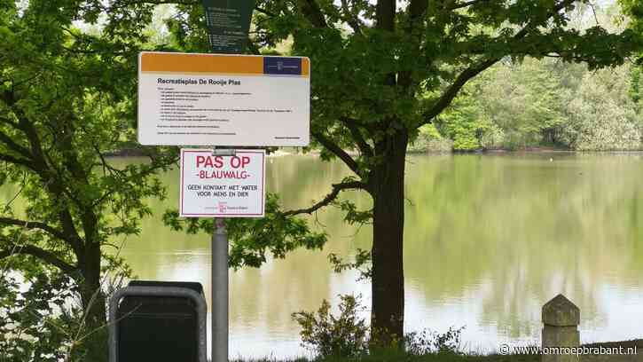 Gifgroen laagje verpest zwemplezier in deze plas