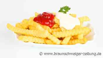 Pommesfabrik – Bürgerinitiative Hohenhameln fordert Nachtfahrverbot