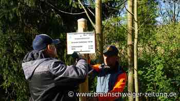 8 Wanderwege im Harz: Rund um die Stauffenburg