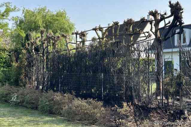 Haagbrand treft drie buren