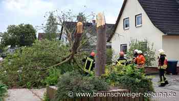 Sturm bei Wolfenbüttel – Jungen retten sich vor umstürzendem Baum