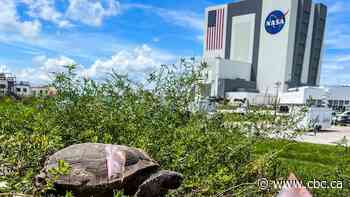 NASA faces cuts to rocket program and lunar space station in Trump's 2026 budget