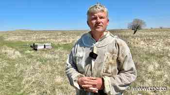 Beehive bandit makes off with 57 hives, leaves Alberta beekeeper feeling 'helpless'