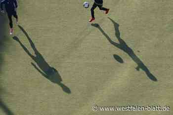 Kunstrasenplatz  60.000 Euro teurer