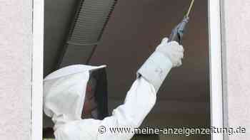 WDR deckt Betrüger-Netzwerk mit Kammerjägern auf – „Weites Feld für unseriöse Anbieter“