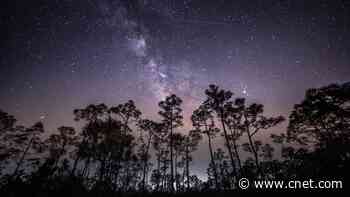 The Eta Aquarid Meteor Shower Will Peak Monday Night: Here's How to Watch