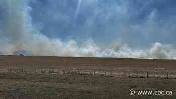 Restrictions in place as wildfire danger on the rise west of Calgary