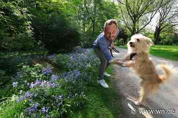 Hundehalter starten Petition gegen Anleinpflicht