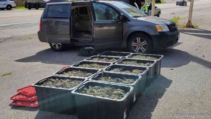 Surrey man arrested after driving with ten storage containers full of cannabis