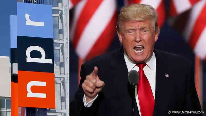 'Bold and fearless': Trump launches new wave of judicial nominations