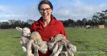 Brittany Bolt is standing out among the flock with her passion for sheep