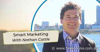 Markets neither comfortable nor uncomfortable | Smart Marketing