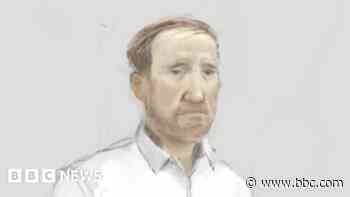 Sycamore Gap accused claims 'best pal' did it