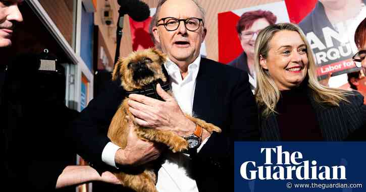 Coalition braces for tough result as Albanese hopes to be first PM to win re-election since Howard