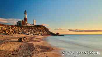 Ein irrsinnig  komisches Buch über reiche, blöde Menschen